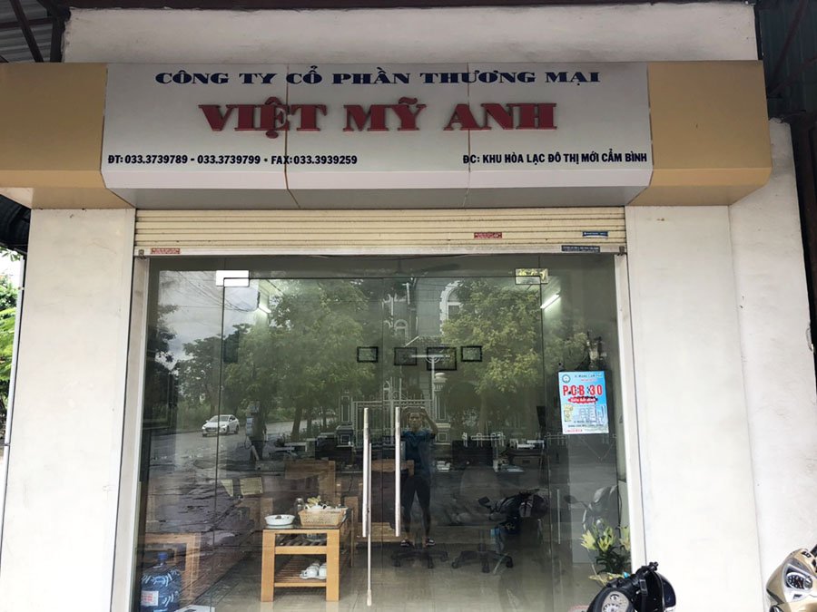 Giới Thiệu Về Việt Mỹ Anh