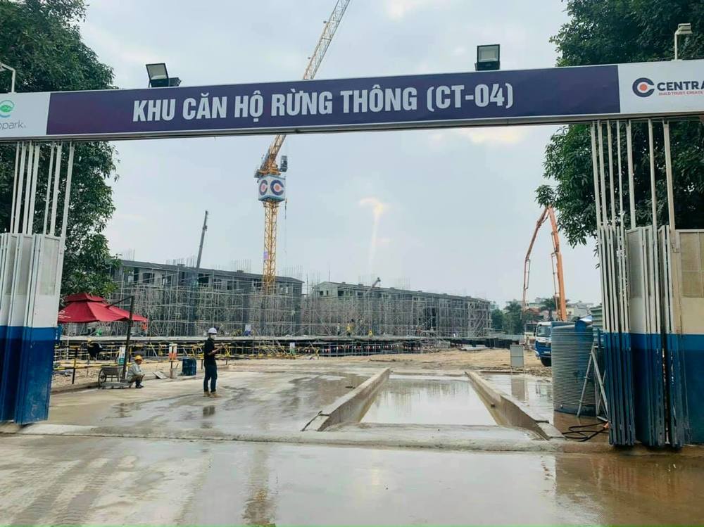 Cung Cấp Xi Măng Xây Dựng Dự Án: Khu Căn Hộ Rừng Thông CT04